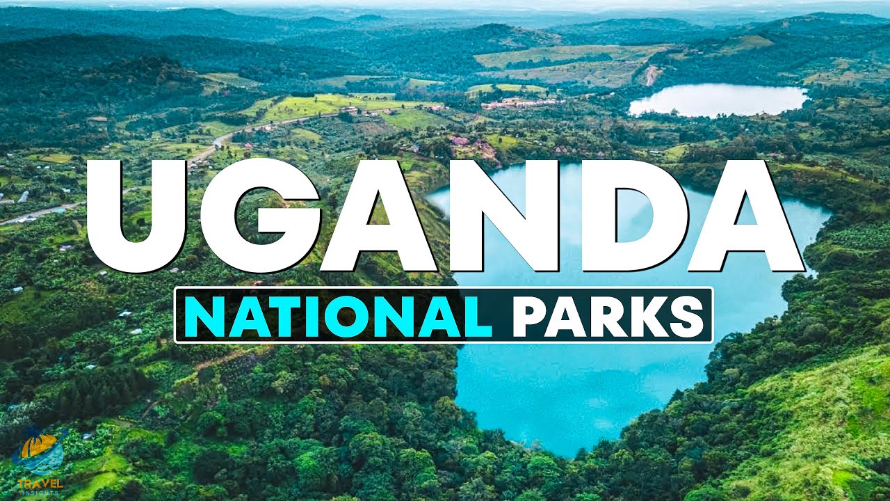 Uganda national parks tour today - Rent Car Rwanda