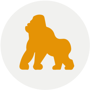 Volcanoes National Park Tour